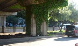 Adana'da Yürek Yakan Motosiklet Kazası: 16 Yaşındaki Zeynep Su Acar Gelinlikle Uğurlandı