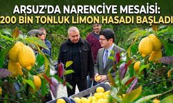 Arsuz’da Narenciye Mesaisi: 200 Bin Tonluk Limon Hasadı Başladı