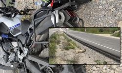 Bahçe'de Feci Kaza: Köpeğe Çarpan Motosikletli Ağır Yaralandı