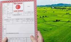 Bir Ay Süre Verildi! Arazisinde Bundan Bulunduranlar Dikkat, Tek Tek Yıkılacak!