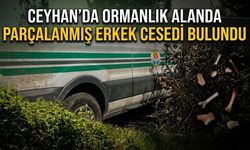 Ceyhan’da Ormanlık Alanda Parçalanmış Erkek Cesedi Bulundu