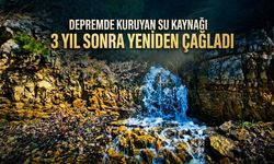 Depremde Kuruyan Su Kaynağı 3 Yıl Sonra Yeniden Çağladı