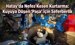 Hatay’da Nefes Kesen Kurtarma: Kuyuya Düşen "Paşa" İçin Seferberlik