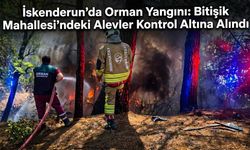 İskenderun’da Orman Yangını: Bitişik Mahallesi’ndeki Alevler Kontrol Altına Alındı