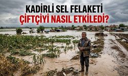 Kadirli Sel Felaketi Çiftçiyi Nasıl Etkiledi?