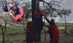 Milli Parkta İlginç Kurtarma! Oltaya Takılan Karga İçin Ekipler Seferber Oldu