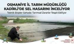 Osmaniye İl Tarım Müdürlüğü Kadirli'de Sel Hasarını İnceliyor