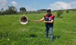 Osmaniye’de Çekirge Alarmı! Teknik Ekipler Sahaya İndi