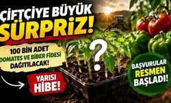 Osmaniye'de Çiftçiye Dev Destek! %50 Hibeli 100 Bin Fide Dağıtılacak!