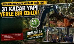 Osmaniye’de O Köylerde Taş Üstünde Taş Kalmadı! Benim Evim Yıkılmaz Demeyin: 31 Yayla Evi Yıkıldı