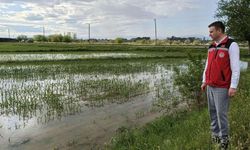 Osmaniye'de Sağanak Sonrası Tarımsal Hasar İçin Düğmeye Basıldı
