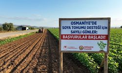 Osmaniye'de Soya Tohumu Desteği İçin Sayılı Günler: Başvurular Başladı!