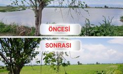 Osmaniye'de Tarım Arazileri Kontrol Edildi: Hasar Sıfır!