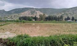 Osmaniye’de Tarım Arazilerinde Hasar Tespit Çalışmaları Başladı