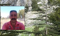 Osmaniye'de Yaylada Acı Olay: Kayalıklardan Düşen Kişi Hayatını Kaybetti