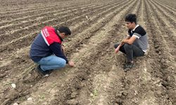 Osmaniyeli Üreticilere Kritik Uyarı: Yağış Sonrası Bu Adımlara Dikkat!