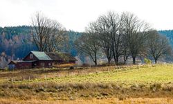 Tapusu Olan Herkesi İlgilendiriyor: O Yapılar İçin 'Derhal Boşaltın' Talimatı Geldi! 5 Dönüm Altı Olanlar Dikkat!
