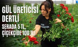 Adana’da Gül Üreticisi Dertli: Serada 5 TL, Çiçekçide 100 TL!