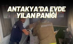 Antakya’da Evde Yılan Paniği