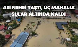 Asi Nehri Taştı, Üç Mahalle Sular Altında Kaldı