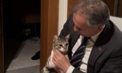 Başkan Çenet Anahtarı Unuttu, Kapıyı Kedisi Fred Açtı!