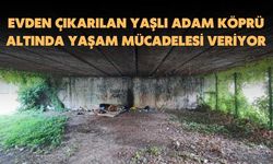 Evden Çıkarılan Yaşlı Adam Köprü Altında Yaşam Mücadelesi Veriyor