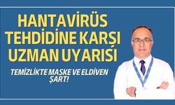 Hantavirüs Tehdidine Karşı Uzman Uyarısı: Temizlikte Maske ve Eldiven Şart!