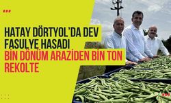 Hatay Dörtyol’da Dev Fasulye Hasadı: Bin Dönüm Araziden Bin Ton Rekolte