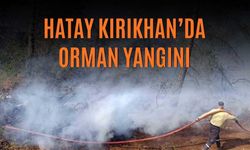 Hatay Kırıkhan’da Orman Yangını