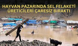 Hayvan Pazarında Sel Felaketi Üreticileri Çaresiz Bıraktı