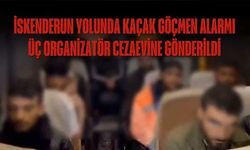 İskenderun Yolunda Kaçak Göçmen Alarmı: 3 Organizatör Cezaevine Gönderildi