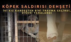 Köpek Saldırısı Dehşeti: İki Kız Kardeşten Biri Travma Geçirdi, Diğeri Yaralandı