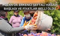 Adana Kozan'da Erkenci Şeftali Hasadı Başladı ve Fiyatlar Belli Oldu