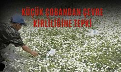 Küçük Çobandan Çevre Kirliliğine Tepki