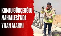 Kumlu Gökçeoğlu Mahallesi’nde Yılan Alarmı
