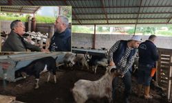 Kurban Pazarında Pazarlıklar Şimdiden Kızıştı!