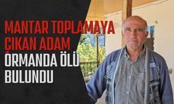 Mantar Toplamaya Çıkan Adam Ormanda Ölü Bulundu