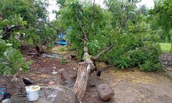 Osmaniye Düziçi’ni Hortum Vurdu! Bostanlar Köyünde Korku Dolu Anlar