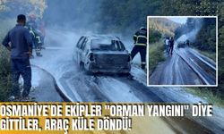 Osmaniye'de Ekipler "Orman Yangını" Diye Gittiler, Araç Küle Döndü!