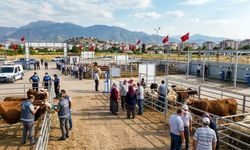 Osmaniye’de Bayram'da Kuş Uçurtulmayacak!
