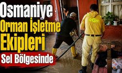 Osmaniye Orman İşletme Ekipleri Sel Bölgesinde