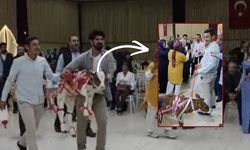 Osmaniye’de Düğünde Takılan Takı Herkesi Şoke Etti Salona Canlı Getirdiler!