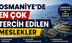 Osmaniye’de En Çok Tercih Edilen Meslekler