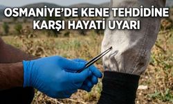 Osmaniye'de Kene Tehdidine Karşı Hayati Uyarı