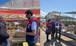 Osmaniye’de Kurbanlıklara Sıkı Denetim