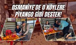 Osmaniye'de o köylere piyango gibi destek!