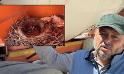 Osmaniye'de Örnek Davranış! 5 Yavru Kuş İçin Beton Mikserini Durdurdular!