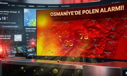 Osmaniye'de Polen Alarmı Bahar Alerjisi Olanlar Dikkat