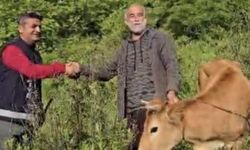 Osmaniye'de Uçuruma Düştü 2 Gün Sonra Kurtarıldı