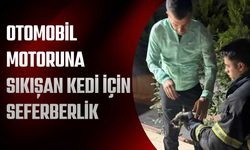 Otomobil Motoruna Sıkışan Kedi İçin Seferberlik